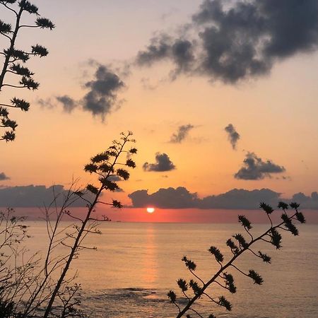 "Suliscenti" Dimora Siciliana B&B Avola Zewnętrze zdjęcie