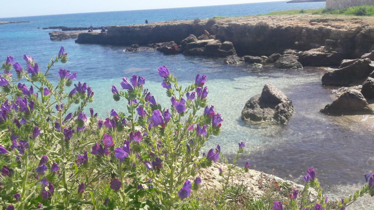 "Suliscenti" Dimora Siciliana B&B Avola Zewnętrze zdjęcie
